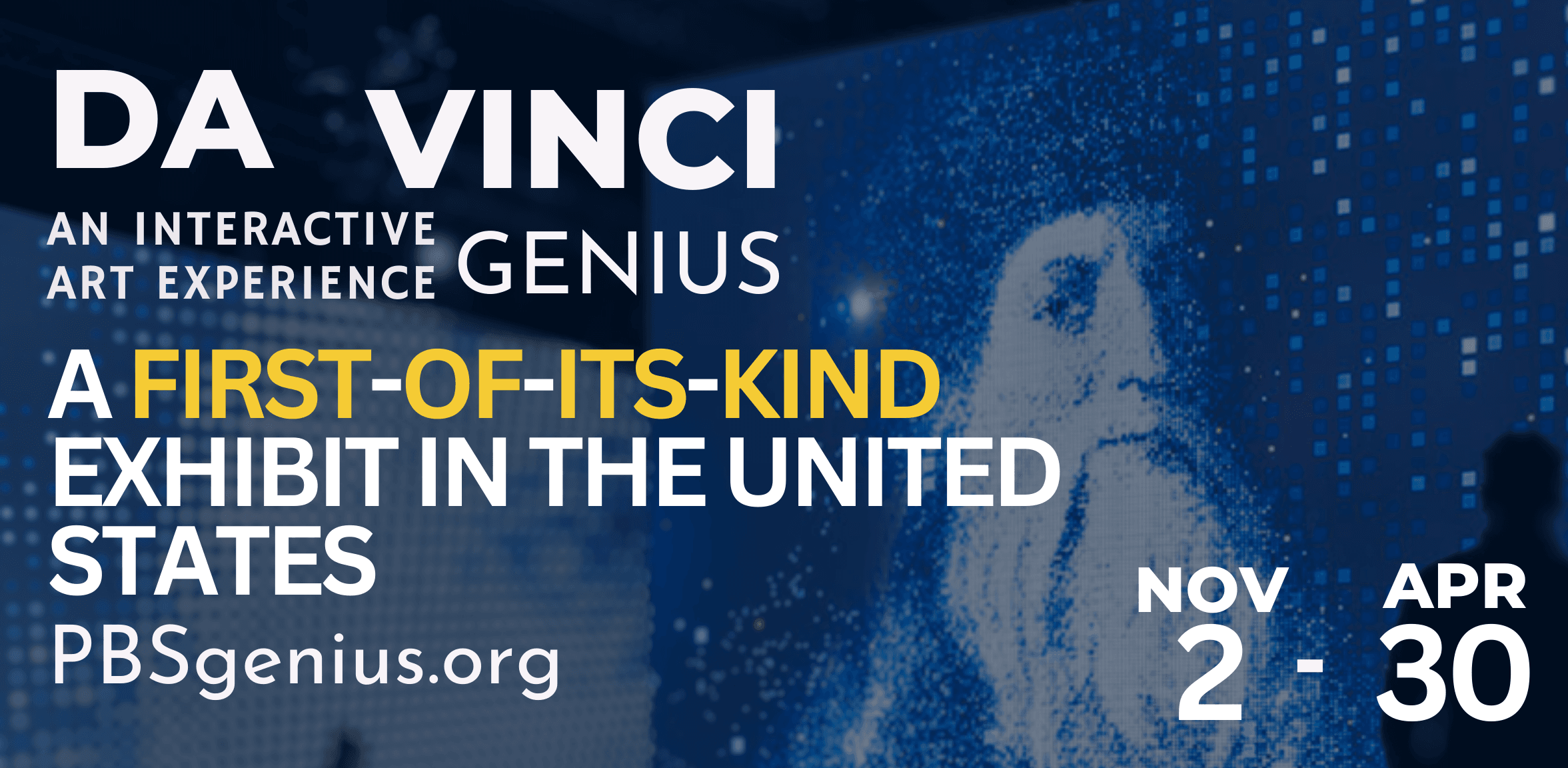 Da Vinci Digital Signs (24.507 x 12 in) (3)