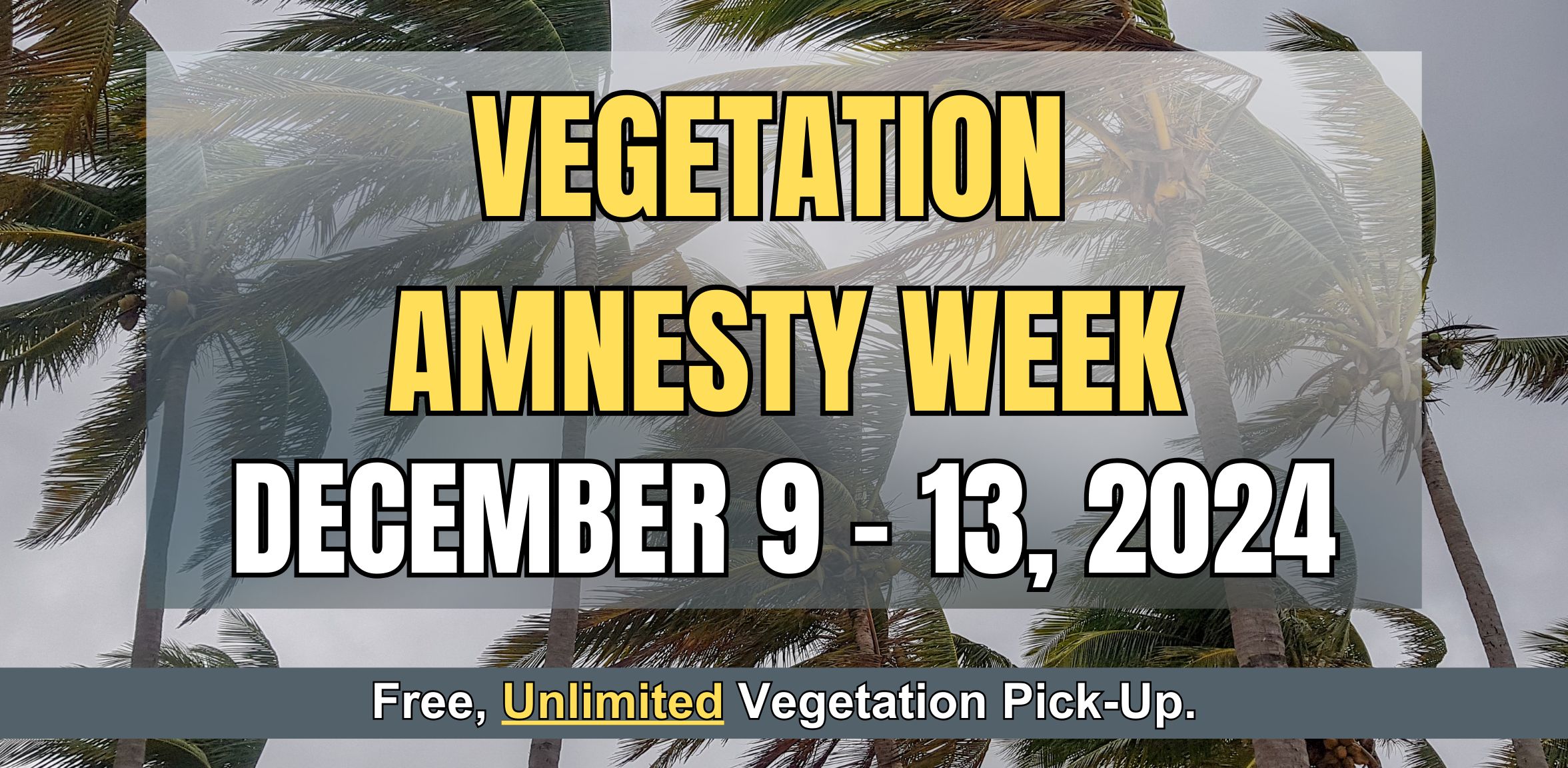 HURRICANE AMNESTY WEEK Lobby (24.507 x 12 in) (1)