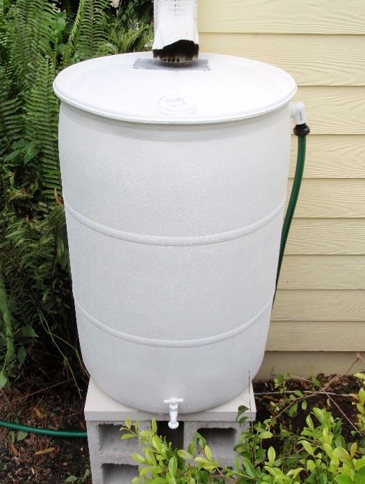 Rain Barrel 1